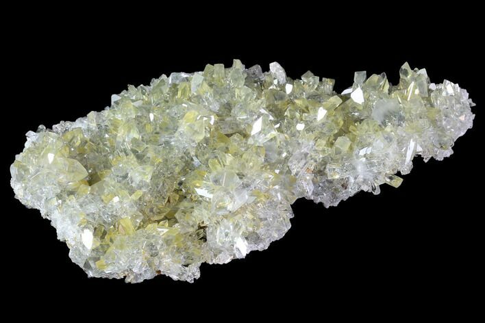 Plate Of Gemmy, Chisel Tipped Barite Crystals - Mexico #84423